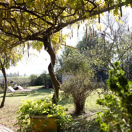 Acetaia Malagoli Daniele 3*