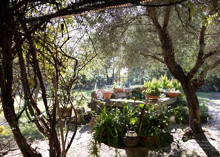 Acetaia Malagoli Daniele Bed & Breakfast