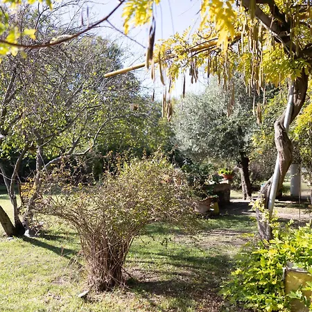 Acetaia Malagoli Daniele Castelfranco Emilia