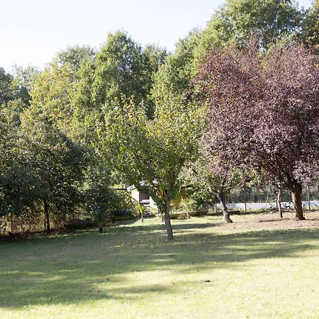 Frühstückspension Acetaia Malagoli Daniele 3*