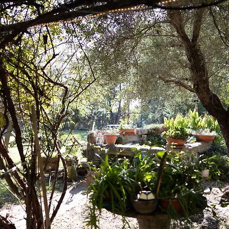 Acetaia Malagoli Daniele B&B