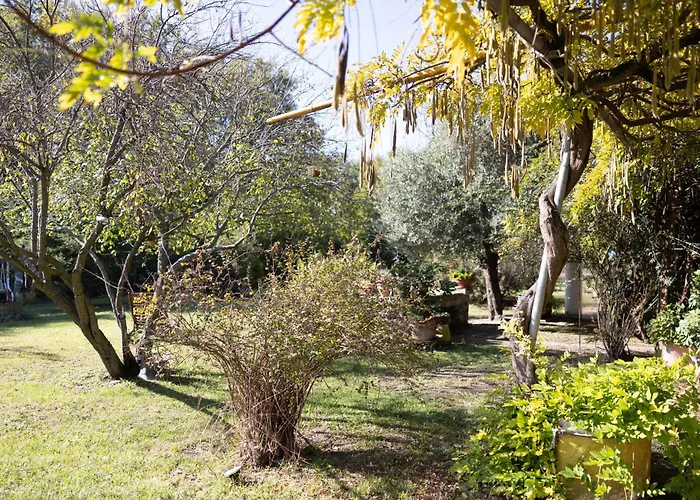 Acetaia Malagoli Daniele Castelfranco Emilia