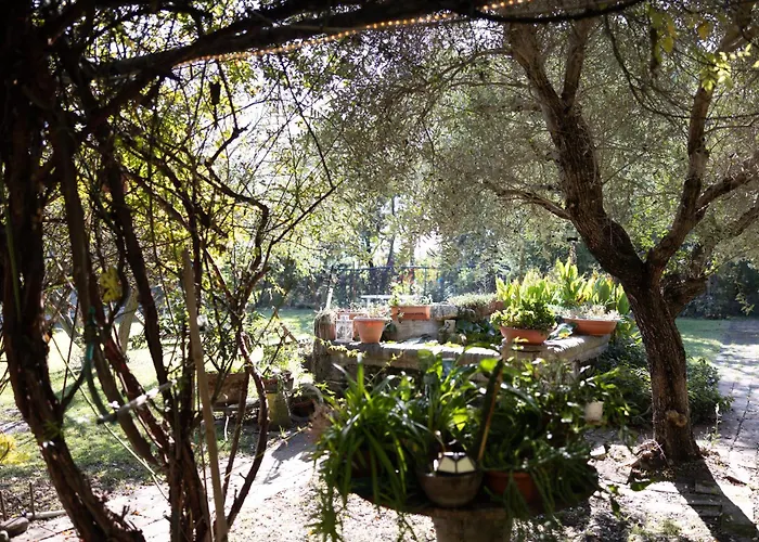 Acetaia Malagoli Daniele Кастельфранко-Эмилия